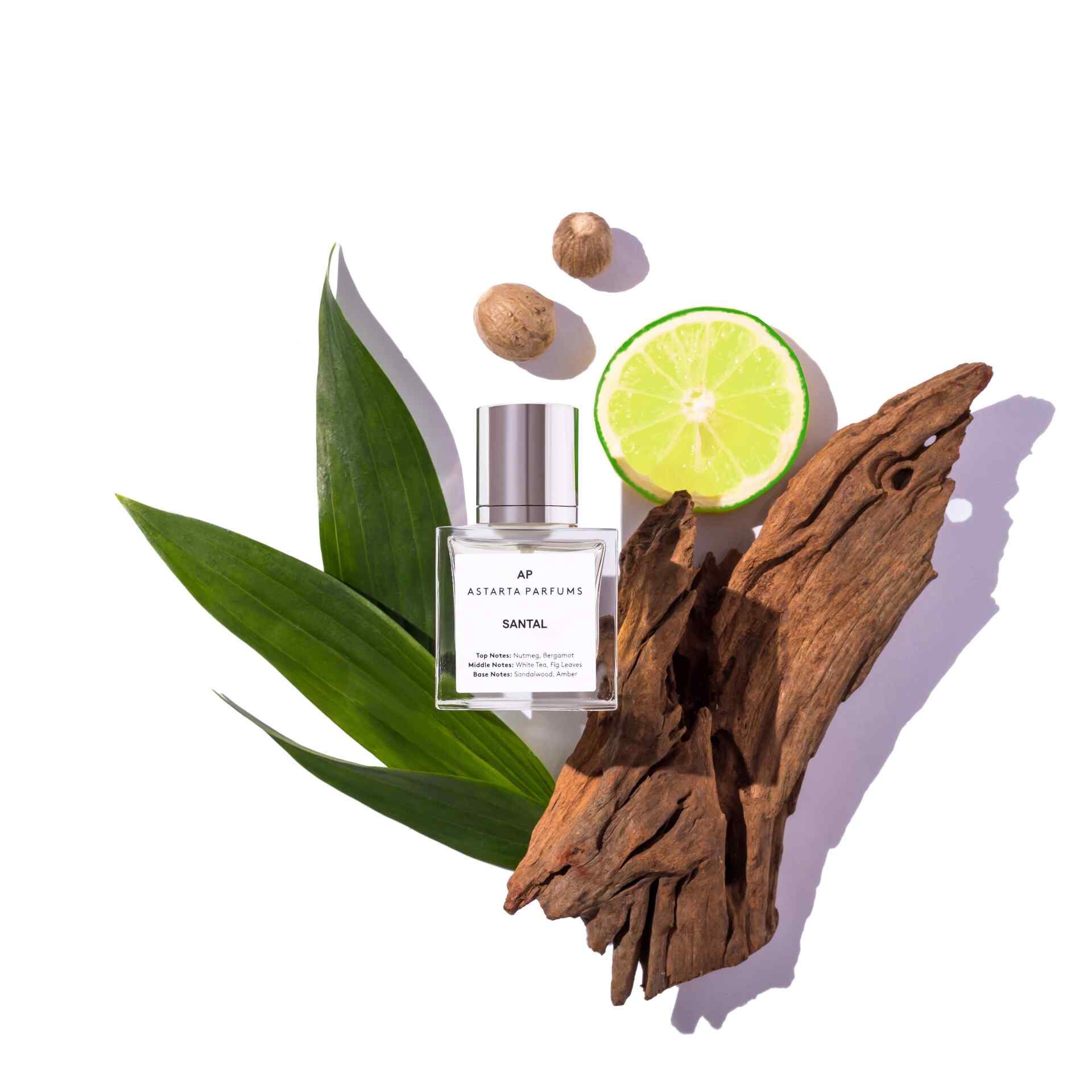 AP SANTAL note